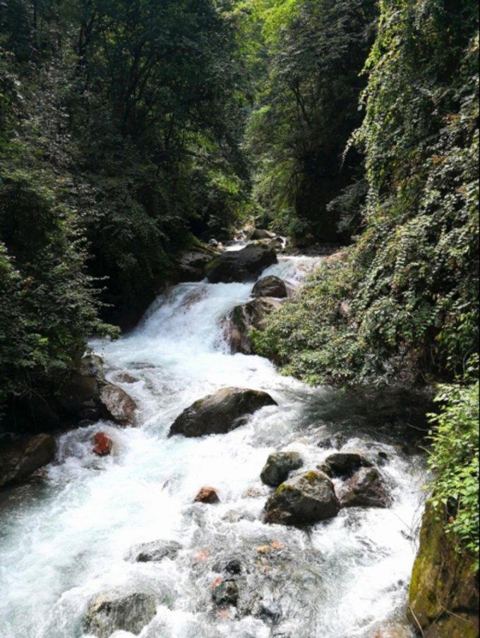 山东泰山外援克雷桑今日抵达海口，结束假期正式归队